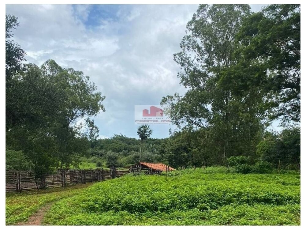 Fazenda à venda, 1581m² - Foto 1