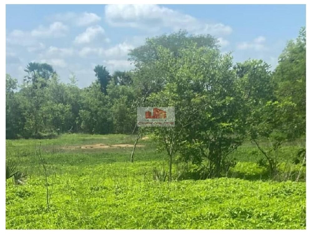Fazenda à venda, 800m² - Foto 4