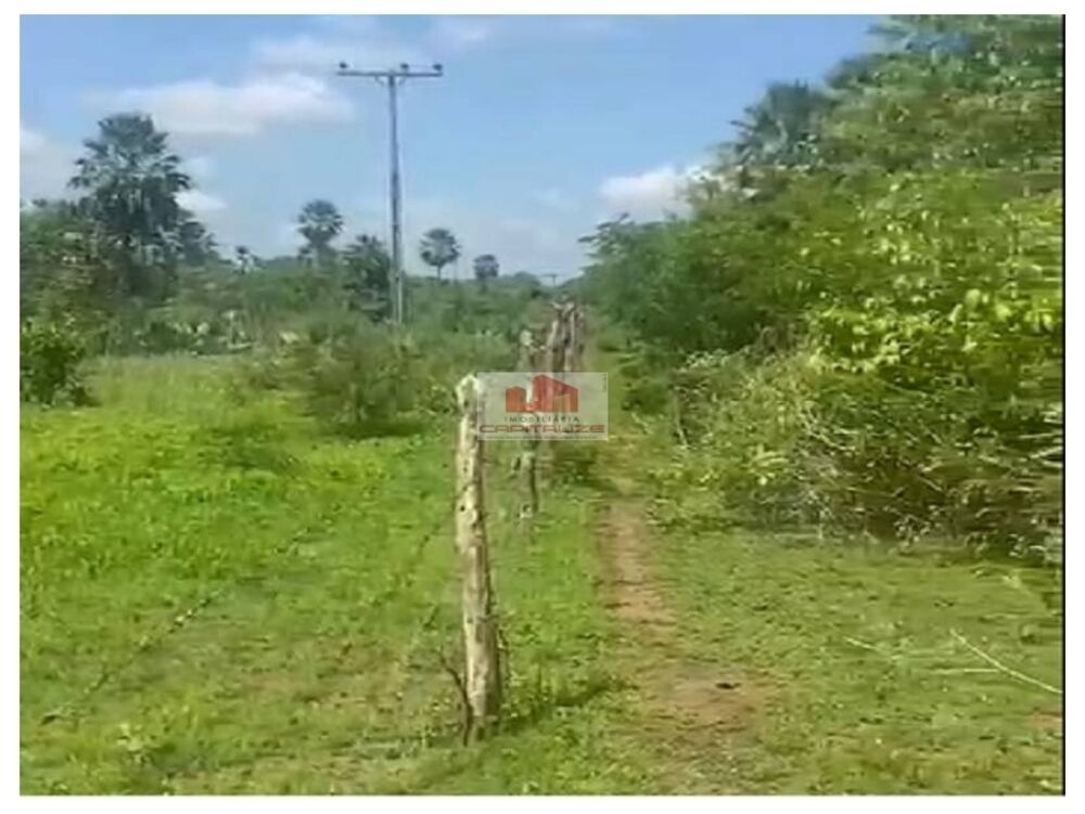Fazenda à venda, 800m² - Foto 1