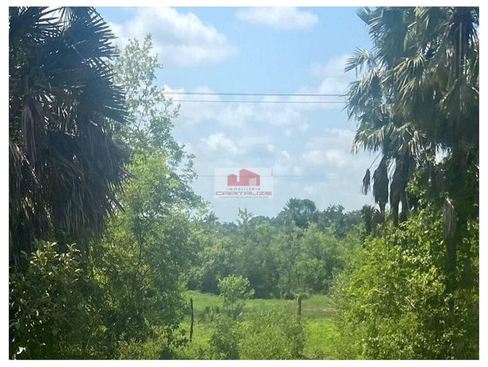 Fazenda à venda, 800m² - Foto 3