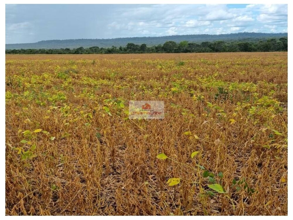 Fazenda, 7000 m² - Foto 1