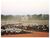 Fazenda, 1 hectares - Foto 2