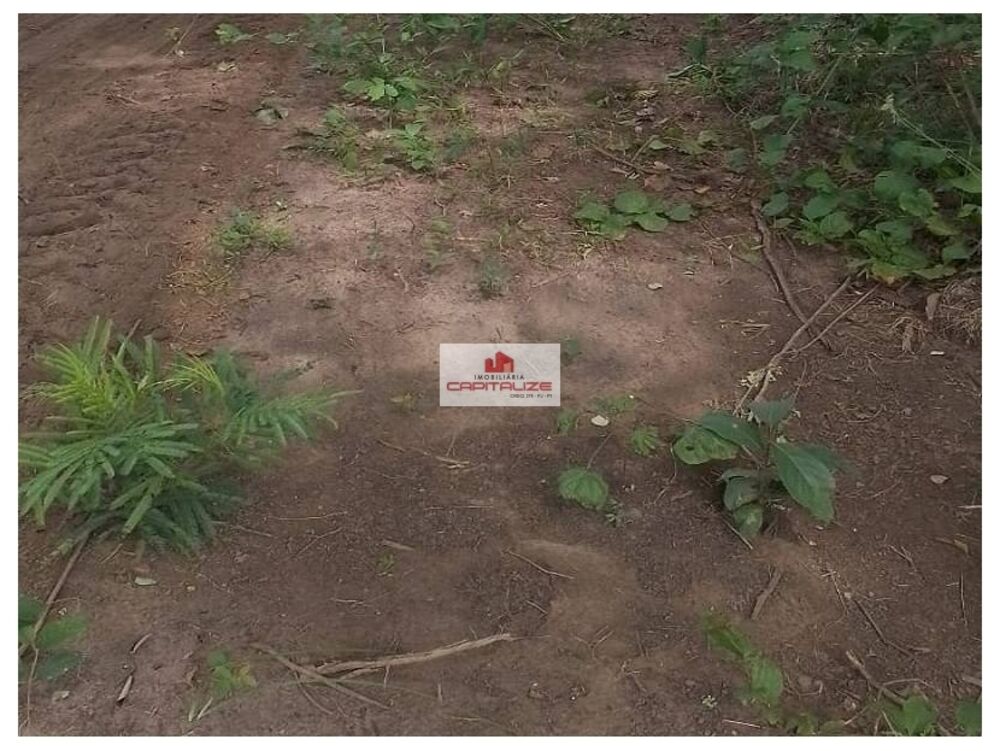 Fazenda à venda, 5500m² - Foto 1