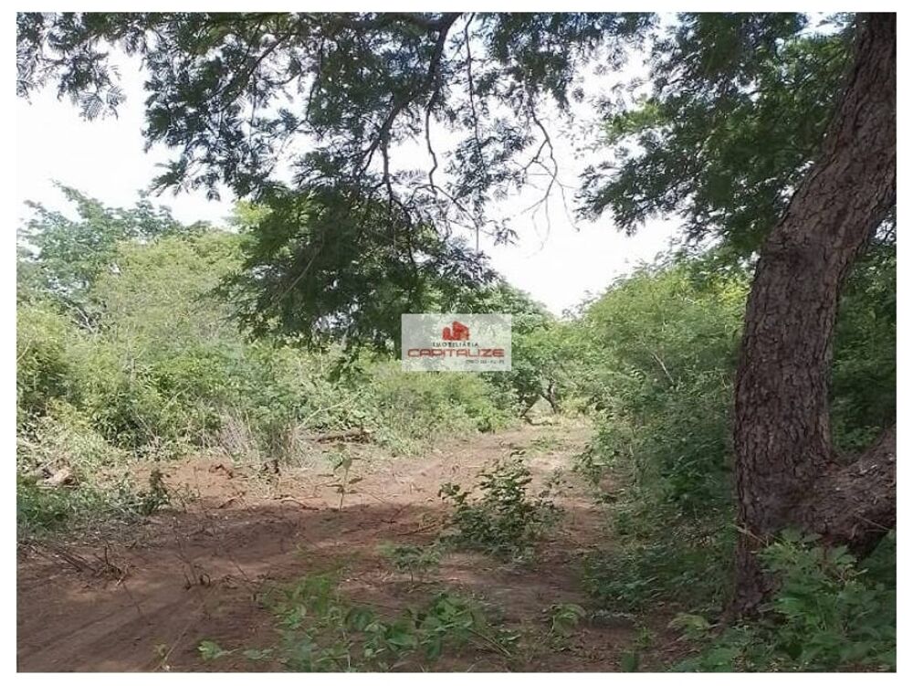 Fazenda à venda, 5500m² - Foto 2