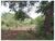 Fazenda, 5500 m² - Foto 2