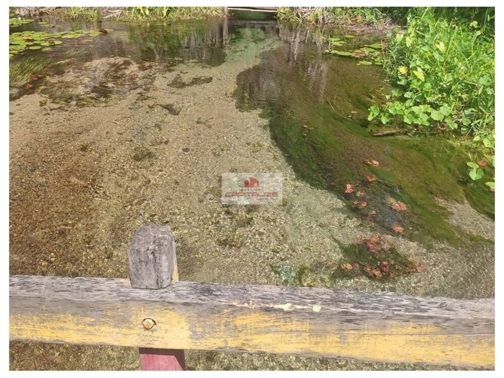 Fazenda-Sítio-Chácara, 2400 m² - Foto 3