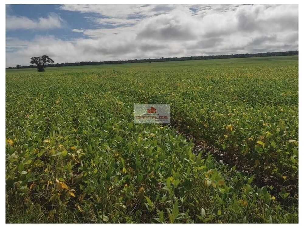 Fazenda-Sítio-Chácara, 2400 m² - Foto 4