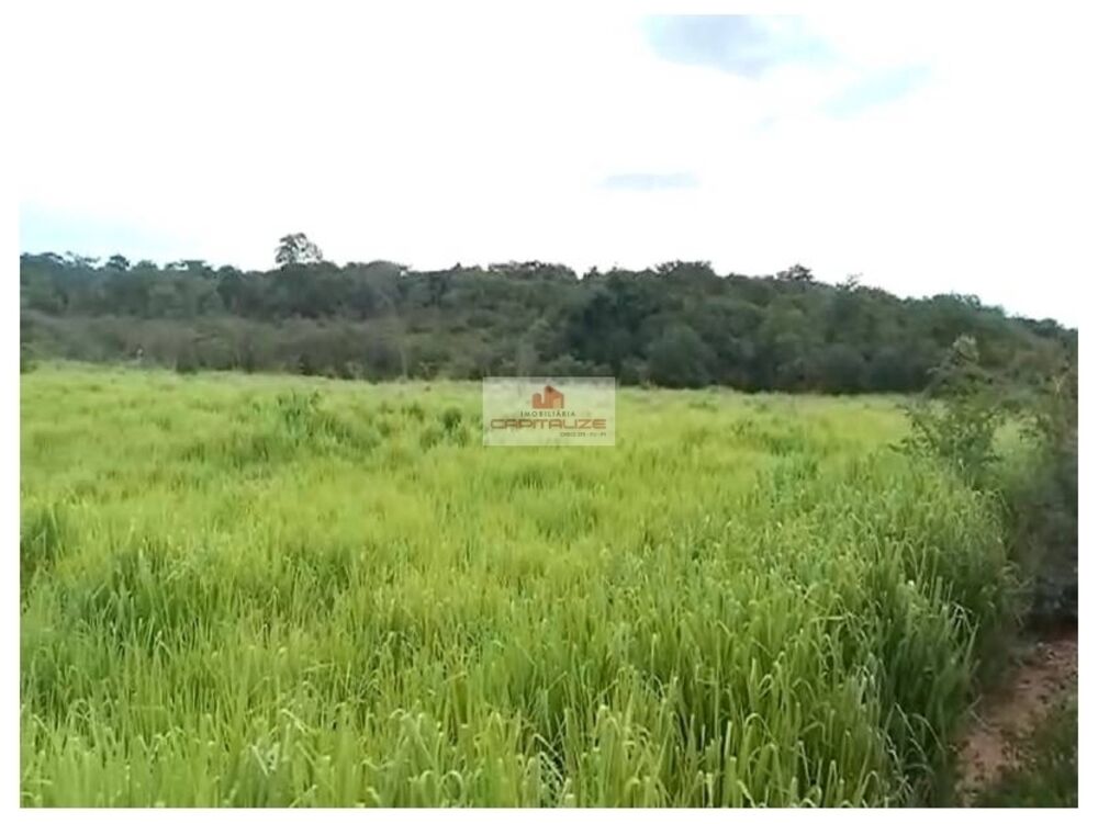 Fazenda à venda, 10000m² - Foto 1