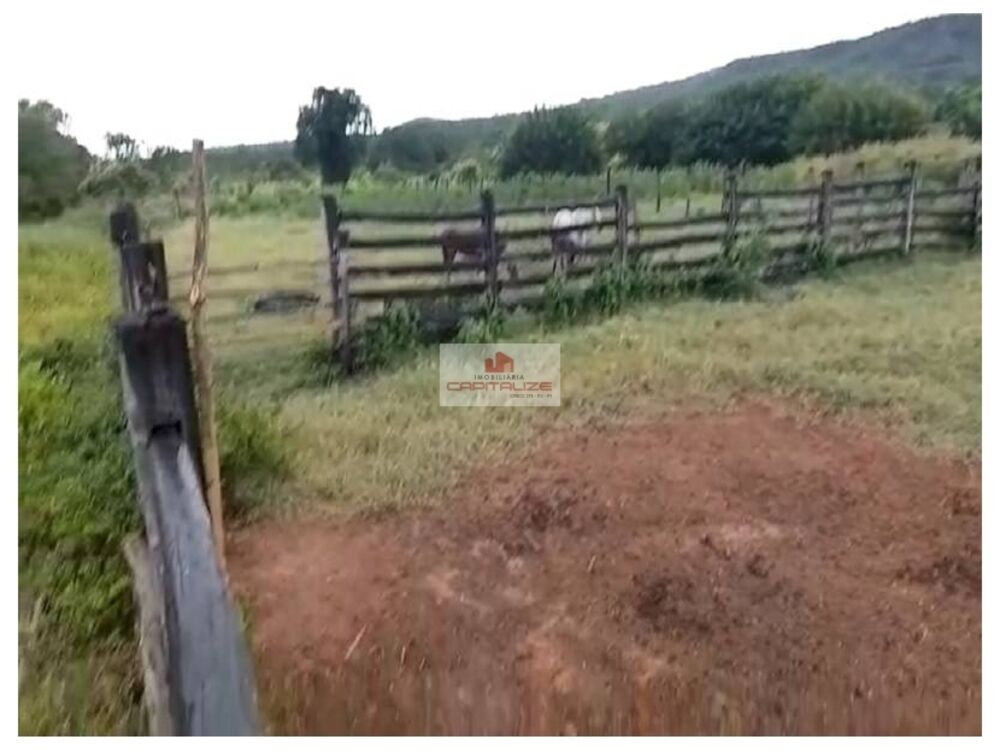 Fazenda à venda, 10000m² - Foto 4