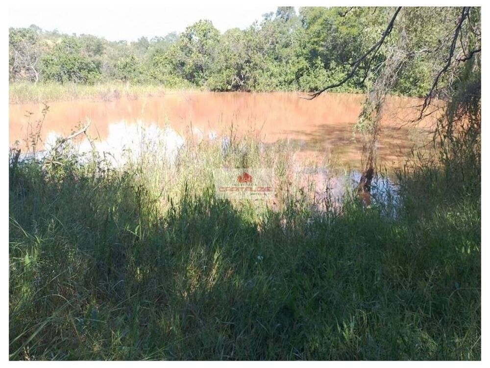 Fazenda à venda, 10000m² - Foto 5