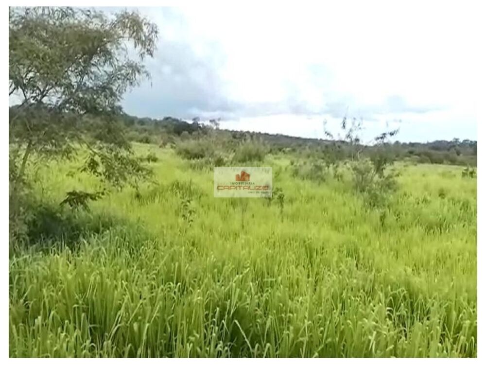 Fazenda à venda, 10000m² - Foto 3