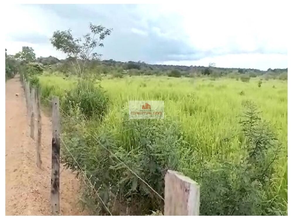 Fazenda à venda, 10000m² - Foto 8
