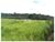 Fazenda, 10000 m² - Foto 1