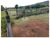 Fazenda, 10000 m² - Foto 4