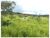 Fazenda, 10000 m² - Foto 3