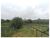 Fazenda, 10000 m² - Foto 6