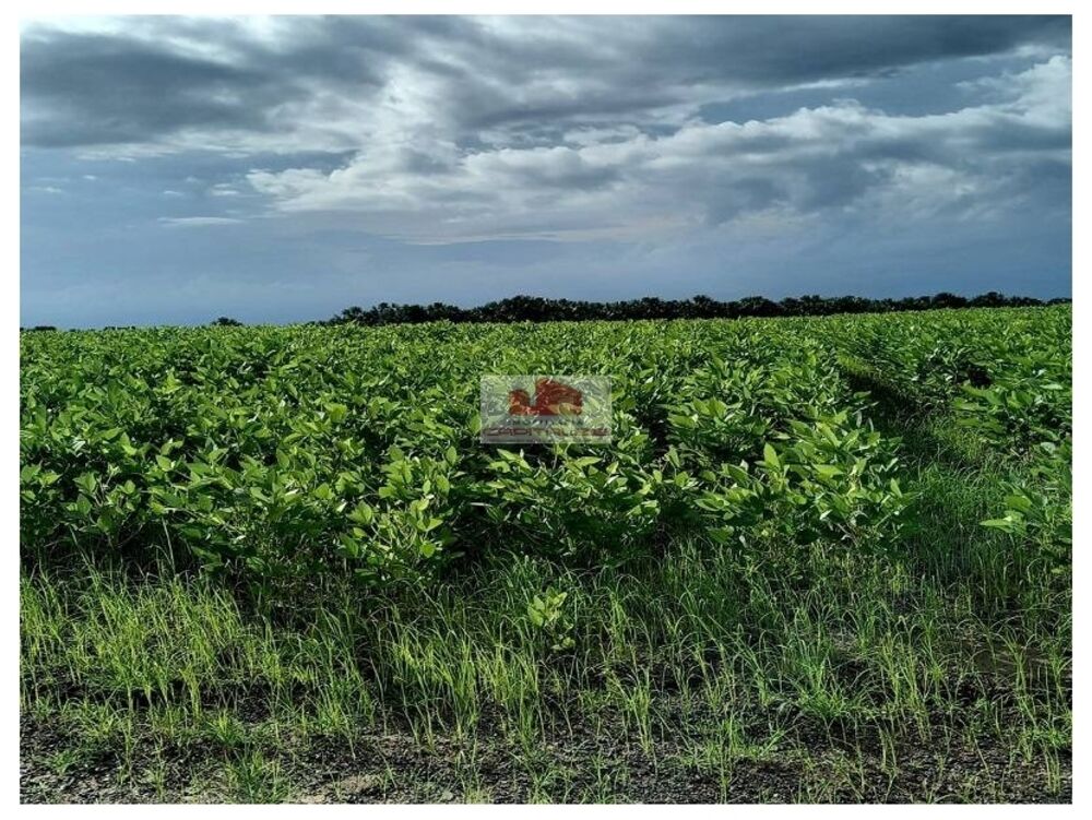 Fazenda à venda, 18000m² - Foto 3