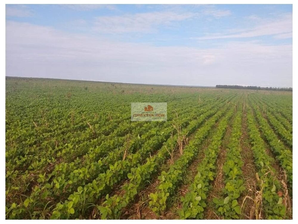 Fazenda, 4 hectares - Foto 1
