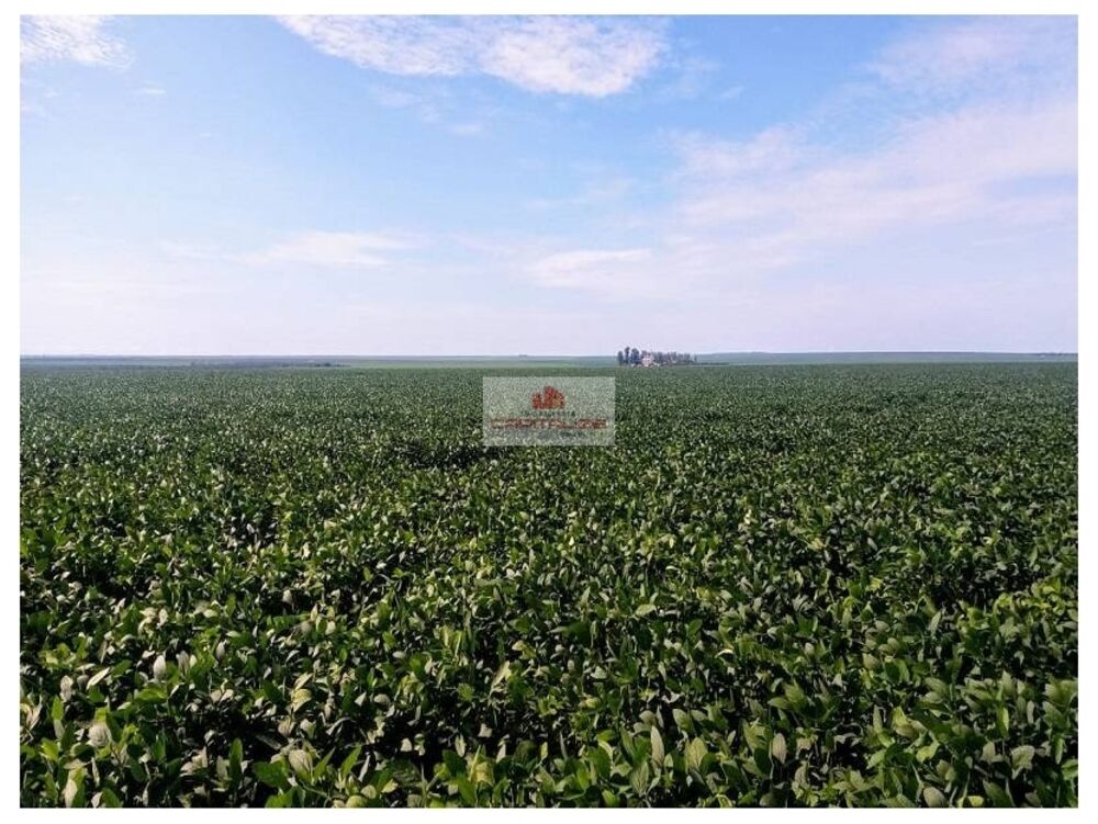 Fazenda, 4 hectares - Foto 2