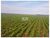 Fazenda, 4 hectares - Foto 1
