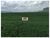 Fazenda, 5800 m² - Foto 2