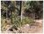 Terreno, 1 m² - Foto 4