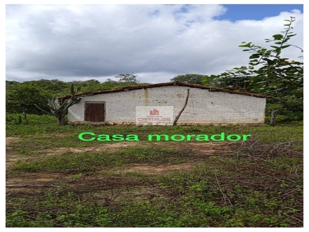 Fazenda à venda, 70m² - Foto 8