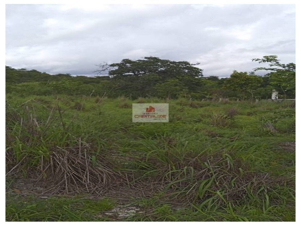 Fazenda à venda, 70m² - Foto 4