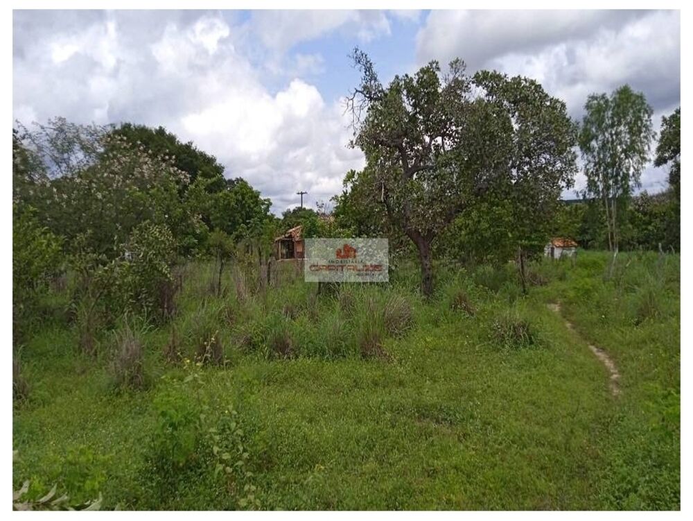 Fazenda à venda, 70m² - Foto 7