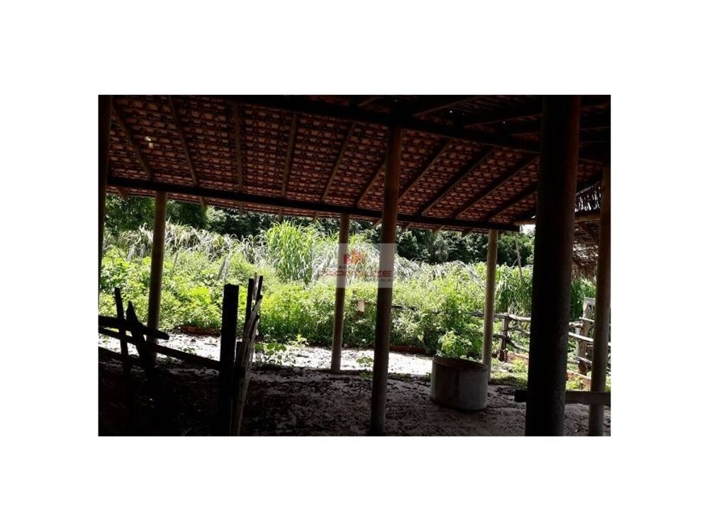 Casa à venda com 3 quartos, 5m² - Foto 5