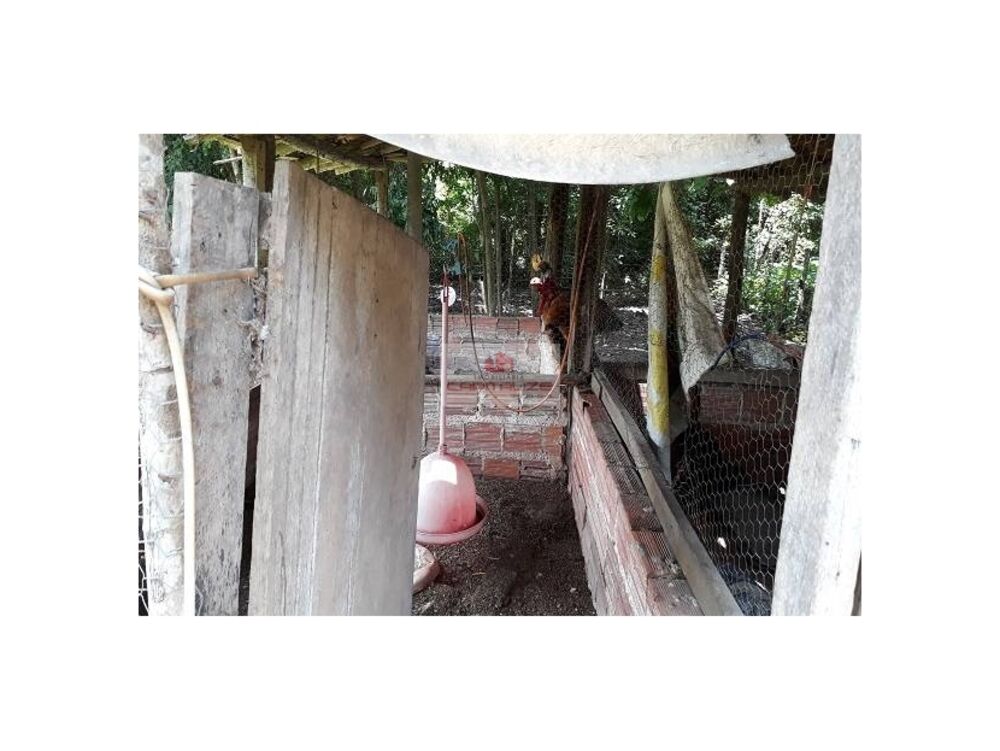 Casa à venda com 3 quartos, 5m² - Foto 8