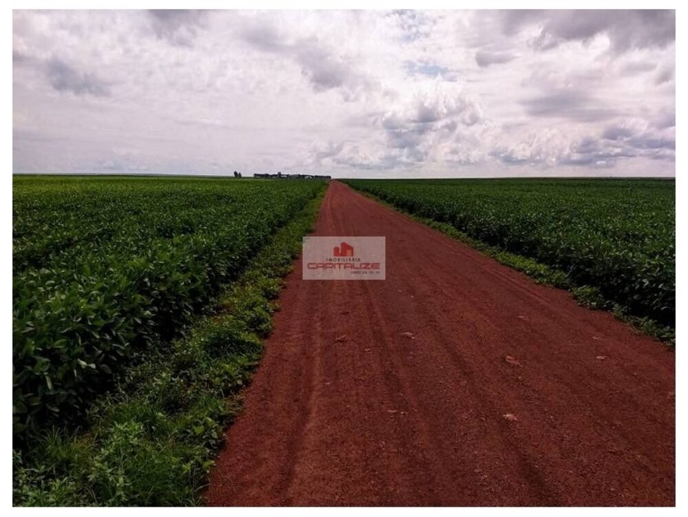 Fazenda à venda, 21000m² - Foto 5