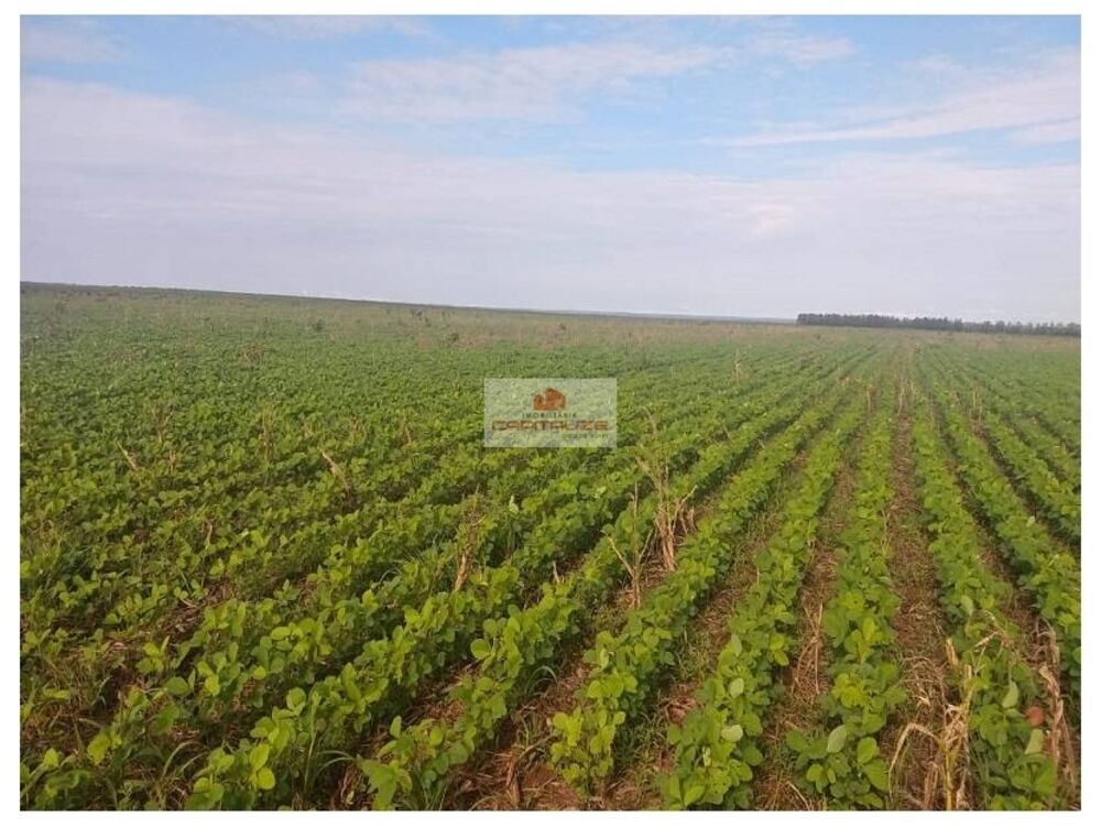 Fazenda à venda, 21000m² - Foto 6