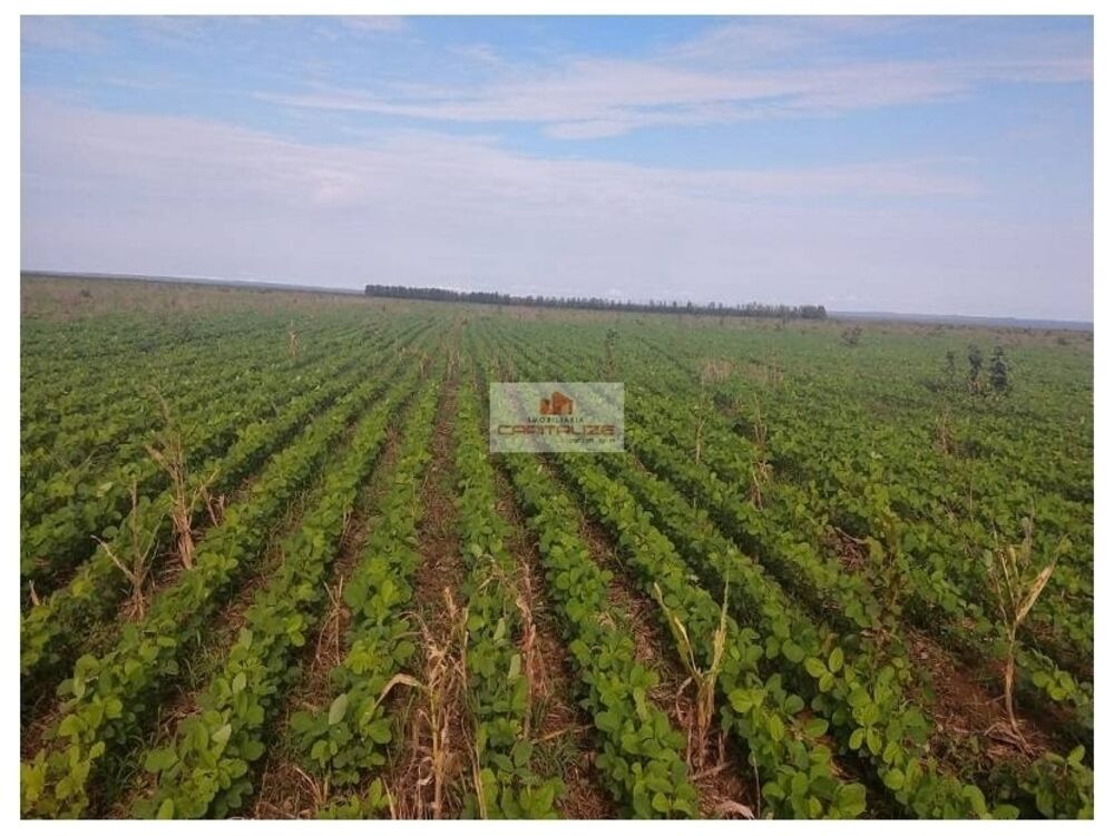 Fazenda à venda, 21000m² - Foto 1