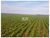 Fazenda-Sítio-Chácara, 2 hectares - Foto 6