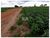 Fazenda, 2 hectares - Foto 2