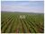 Fazenda, 2 hectares - Foto 1