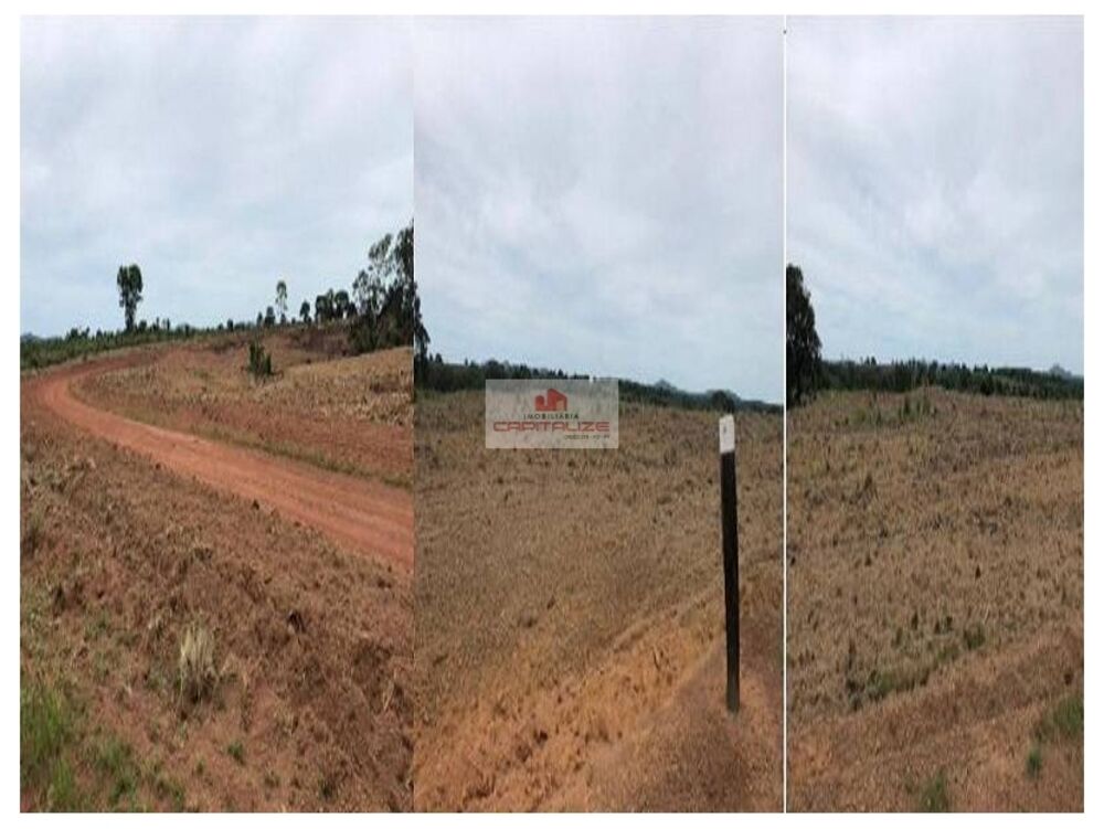 Fazenda à venda, 550m² - Foto 4