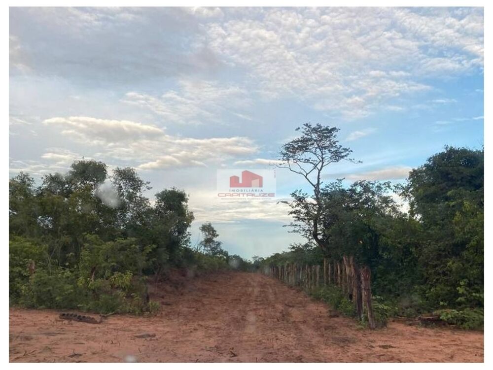 Fazenda à venda, 1930m² - Foto 4