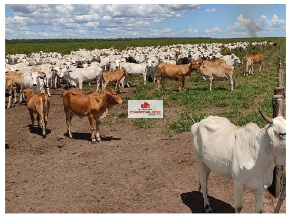 Fazenda, 9400 m² - Foto 1