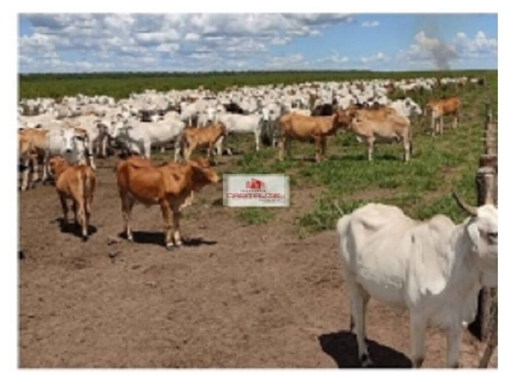 Fazenda, 9400 m² - Foto 2