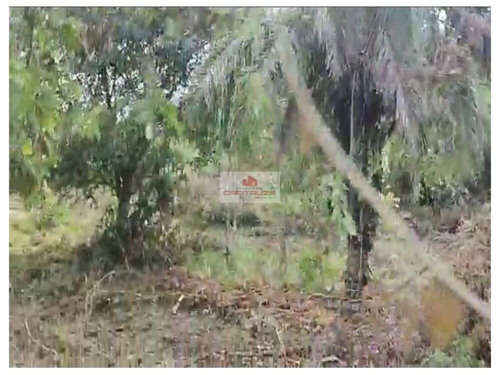 Fazenda à venda, 726m² - Foto 3