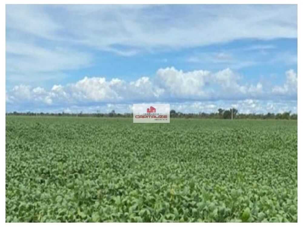 Fazenda-Sítio-Chácara, 7500 m² - Foto 1