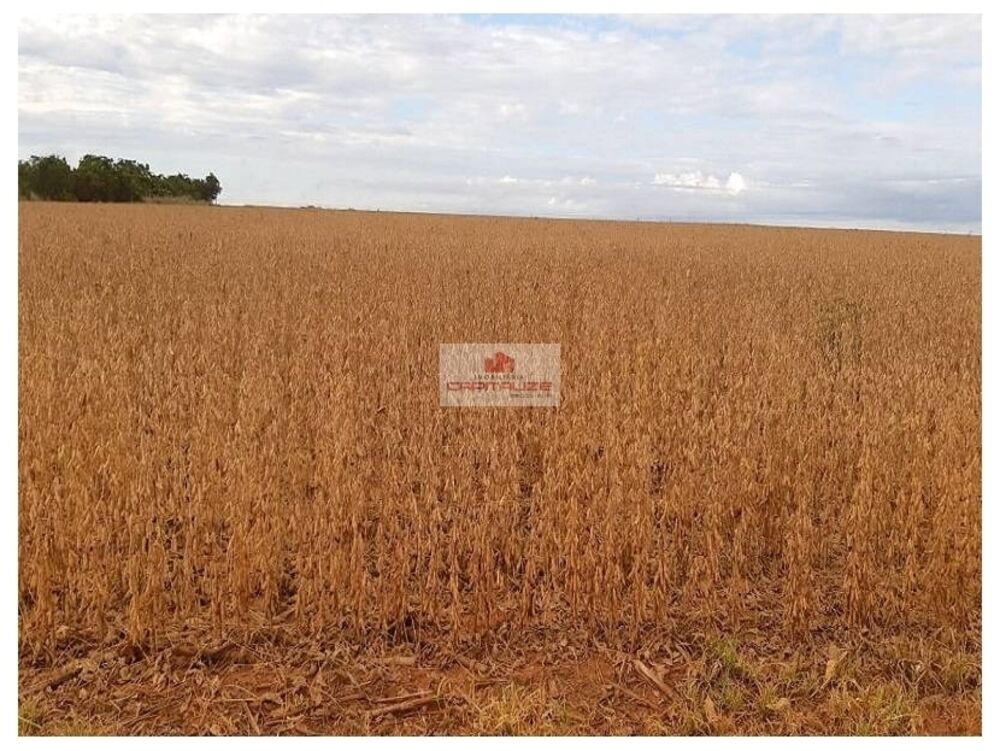 Fazenda à venda, 17000m² - Foto 1