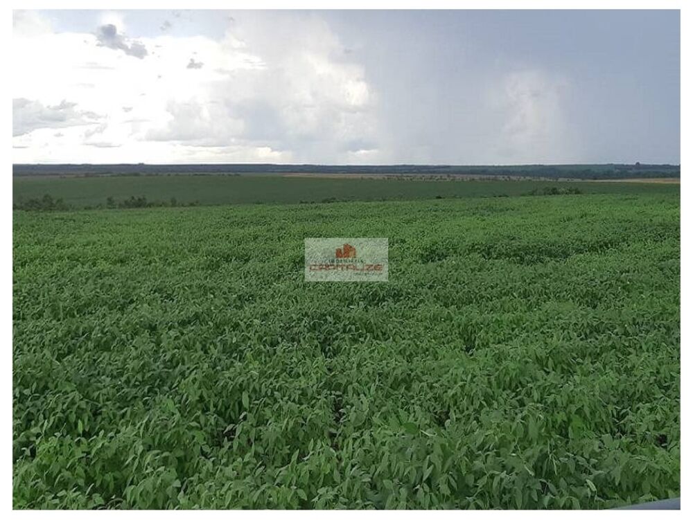 Fazenda à venda, 17000m² - Foto 4