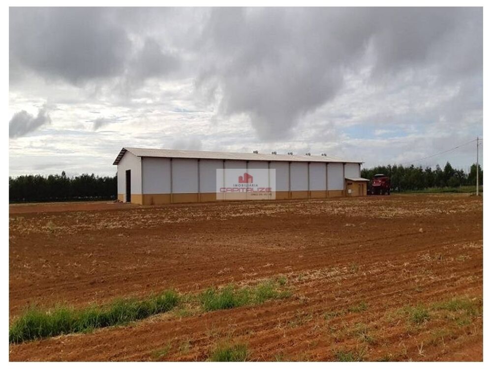 Fazenda à venda, 17000m² - Foto 6