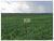 Fazenda, 2 hectares - Foto 4