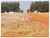 Fazenda-Sítio-Chácara, 2 hectares - Foto 10