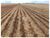 Fazenda-Sítio-Chácara, 2 hectares - Foto 7