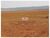 Fazenda, 2 hectares - Foto 2